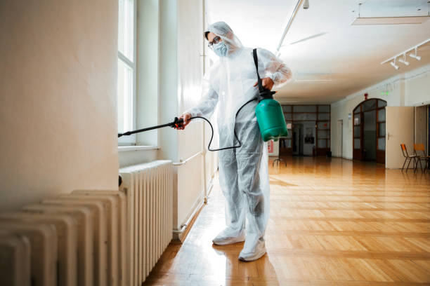 Best Residential Pest Control  in Panorama Village, TX