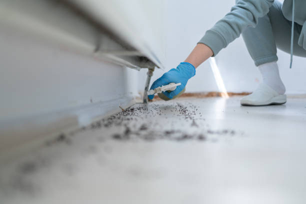 Best Best Pest Control Companies  in Panorama Village, TX